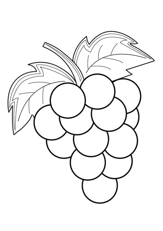 Printable Worksheet: Fruit- 2 | Drawing (Art & Craft) - Grade 2