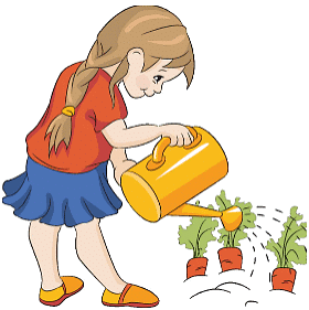 Solved Essay: My Hobby | Essays for Class 3
