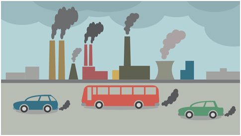 Environmental Vocabulary Chapter Notes | English Olympiad for Class 2