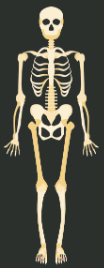 Our Body and Health | GK Olympiad for Class 4