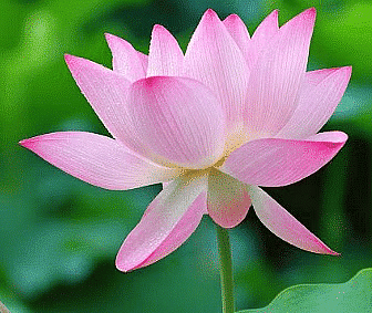India – Our Motherland | Social Science Olympiad for Class 3