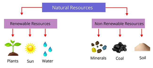 Environmental Vocabulary Chapter Notes | English Olympiad for Class 2