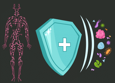 Our Body and Health | GK Olympiad for Class 4