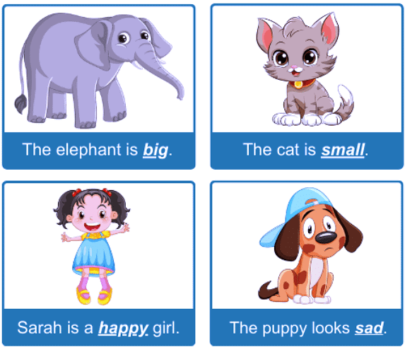 Chapter Notes: Adjective