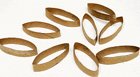 Craft Ideas: TP Roll Flowers | Drawing (Art & Craft) - Grade 2