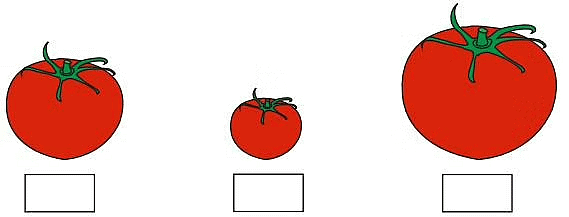 The Longest Step Class 2 Worksheet Maths Chapter 13