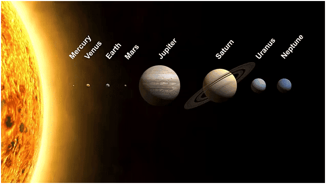 Short Answer Questions: World Around Me | EVS for Class 2