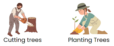Worksheet Solutions: Sustainable Development | Value Education - Class 3