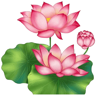 Solved Essay: Lotus Flower | Essays for Class 2