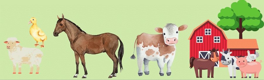 Animals Chapter Notes | EVS for Class 2
