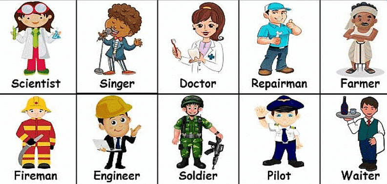 Notes: Me and My Surroundings | GK Olympiad for Class 3