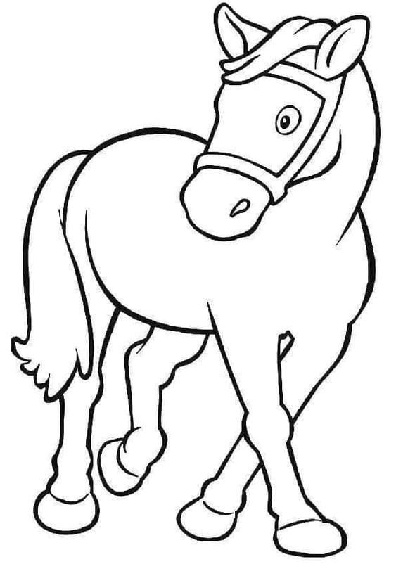 Printable Worksheet: Animal- 2 | Drawing (Art & Craft) - Grade 2