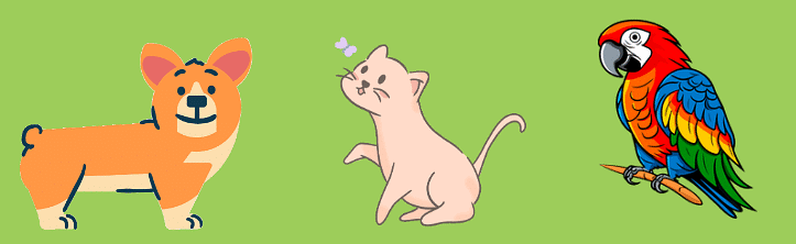 Animals Chapter Notes | EVS for Class 2