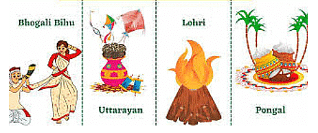 Notes: Me and My Surroundings | GK Olympiad for Class 3