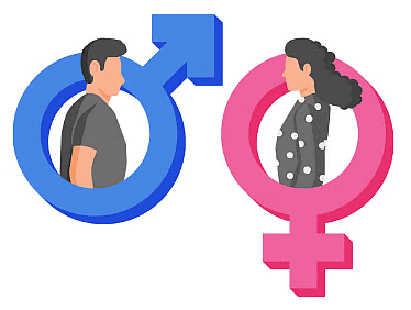 Gender and Number (Feminine/Masculine and Singular/Plural) | English Olympiad Class 4