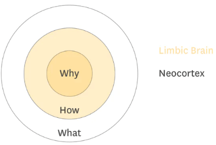 Summary: Start with Why | Summaries: Must Read Books for Entrepreneurs - Entrepreneurship