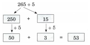 Coconut Farm NCERT Solutions | Mathematics (Maths Mela) Class 5 - New NCERT