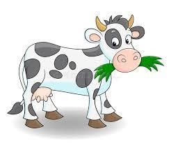 GK Quiz Questions and Answers | General Knowledge for Young Learners - Class 1