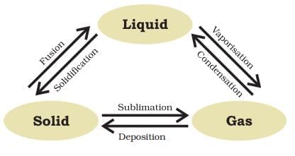 Matter in our surroundings Class 9 Notes Science Chapter 1
