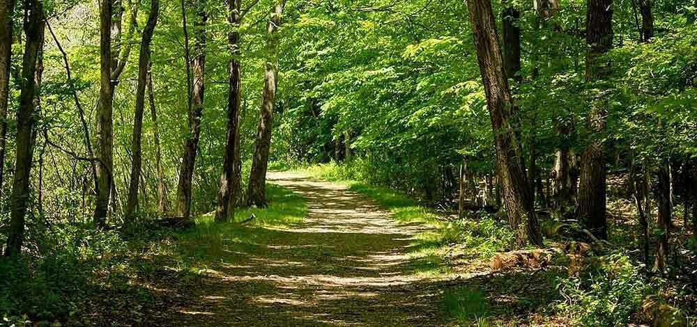 Natural Vegetation and Wildlife | General Awareness - Bank Exams