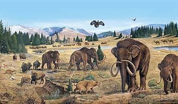 Prehistoric Period
