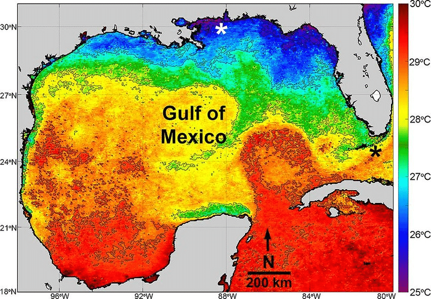 GC Leong Summary: The Warm Temperate Eastern Margin Climate or China Type Climate | Geography for UPSC CSE