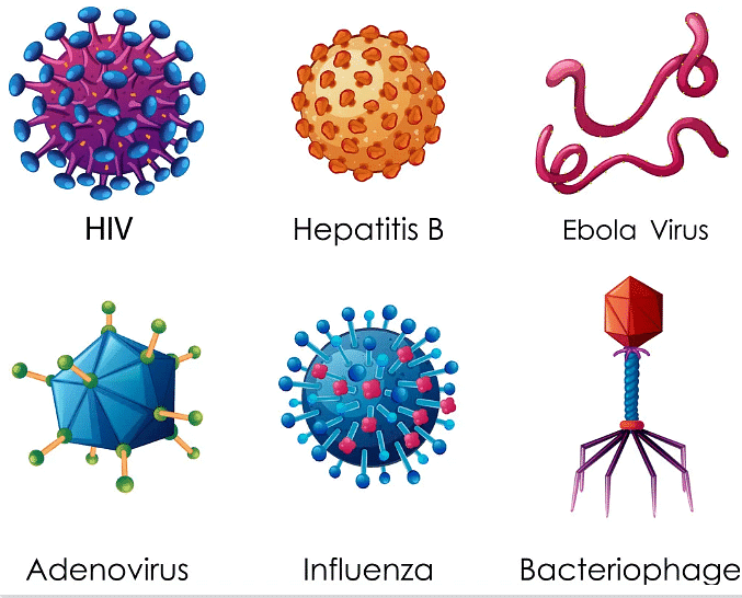 Microorganisms - Friend & Foe Summary Class 8 NCERT Summary