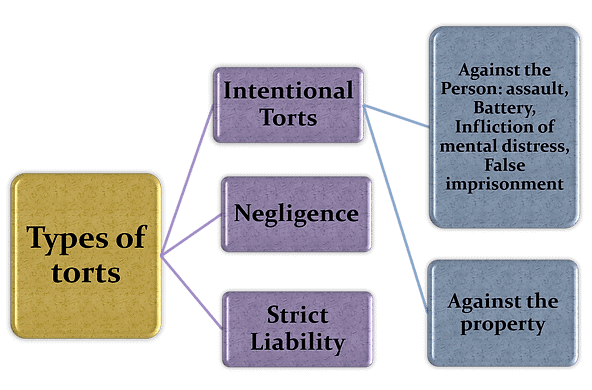 Nature and Definition of Torts | Daily GK & Current Affairs Tests - Bank Exams