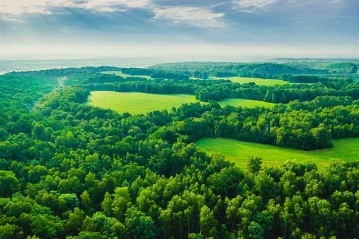 Ecology and its relevance to man | NABARD Grade A & Grade B Preparation - Bank Exams