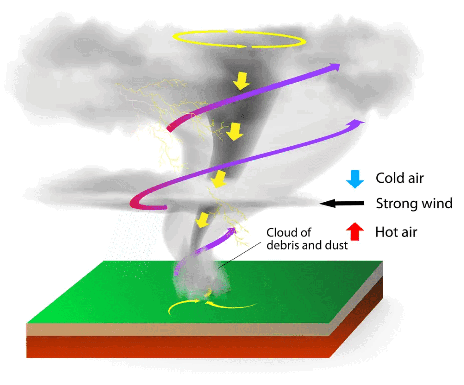 Tropical Cyclones & Western Disturbances | Geography Optional for UPSC