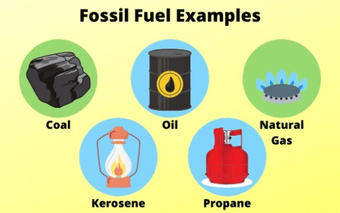 Class 10 Geography Chapter 5 Previous Year Questions - Minerals and Energy Resources