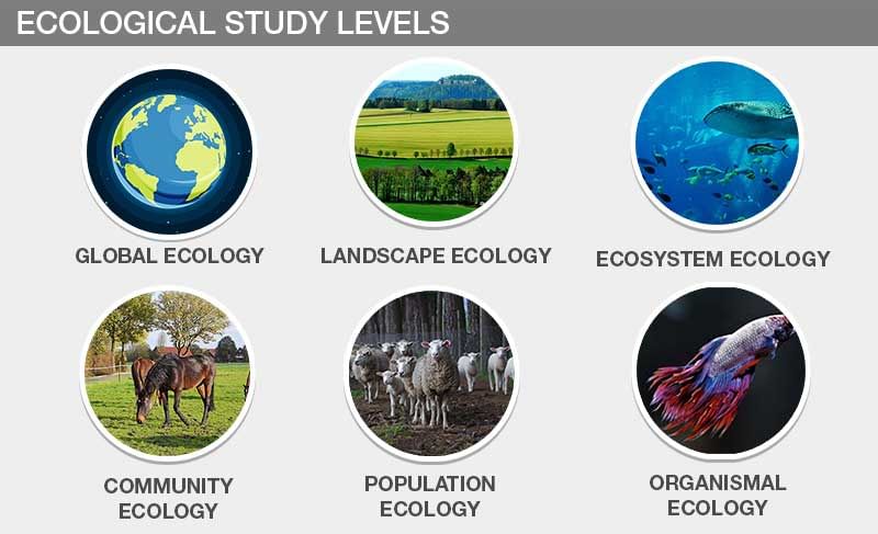 Ecology and its relevance to man | NABARD Grade A & Grade B Preparation - Bank Exams