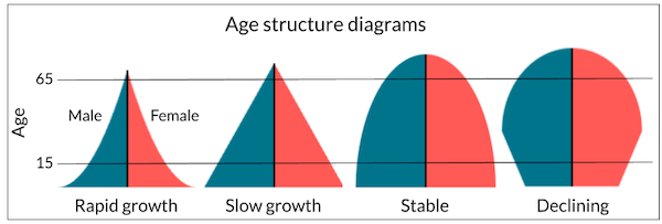 Population Composition Class 12 Geography