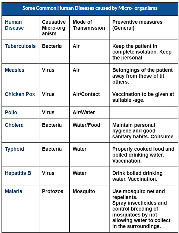 Microorganisms: Friend and Foe Class 8 Notes Science Chapter 2