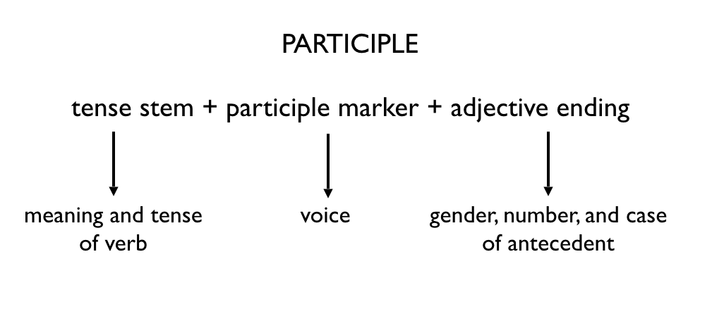 Principles of Non-Finite Verbs (Part - 2) | English Class 8