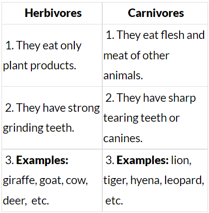 Food - Where does it Come from? Class 6 Worksheet Science