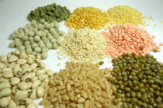 Class 6 Science Chapter 1 Question Answers - Components of Food
