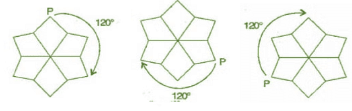 NCERT Solutions for Class 7 Maths - Symmetry- 1