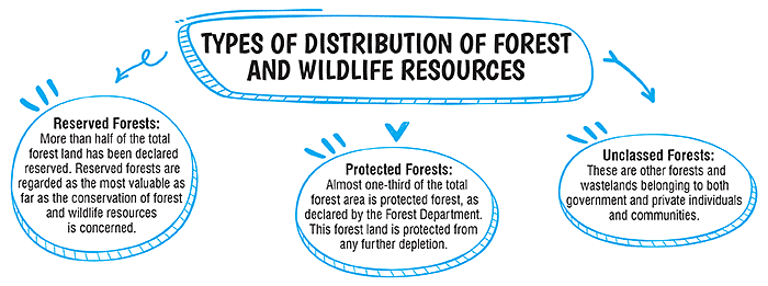 Class 10 Geography Chapter 2 Notes - Forest and Wildlife Resources