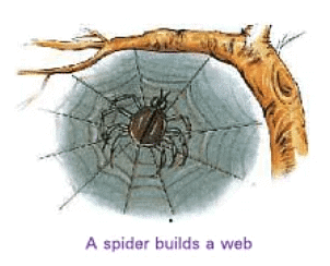 Animals- Food and Shelter Class 1 Notes EVS