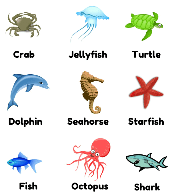 Animals- Food and Shelter Class 1 Notes EVS