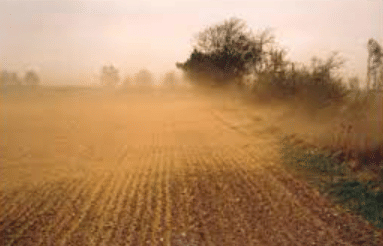 Soil Erosion and Conservation Class 5 Notes Science