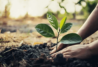Conservation of Plants and Animals Class 8 Notes Science Chapter 5