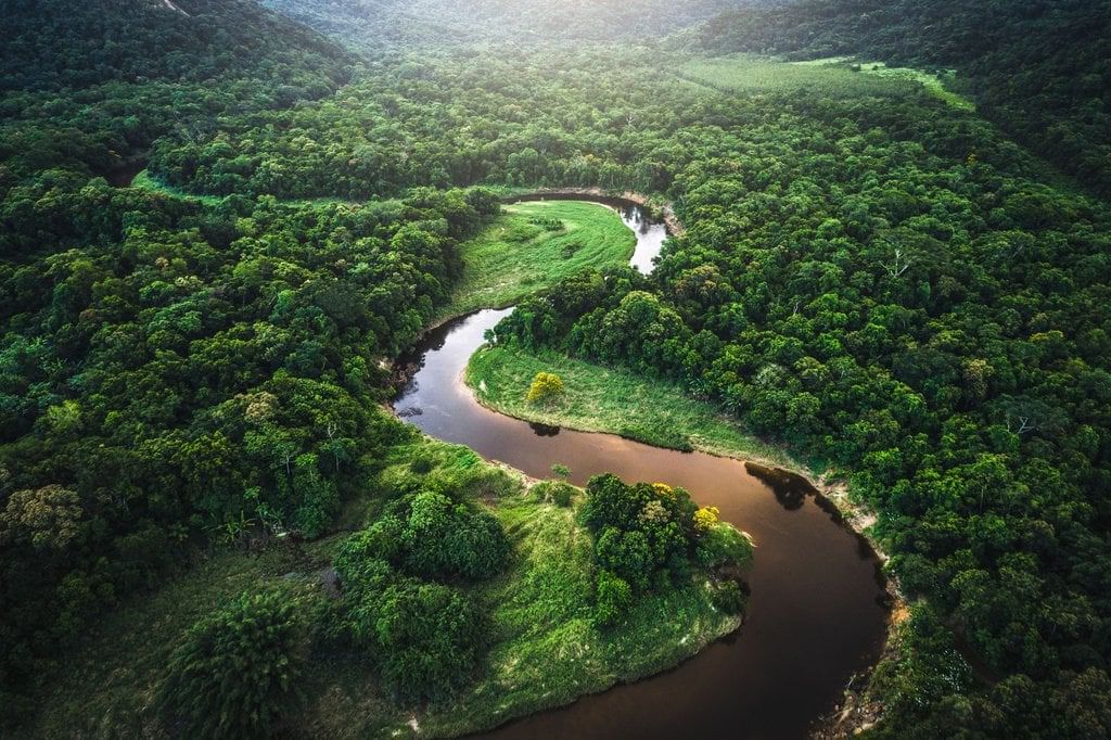 Human Environment Interactions: The Tropical & Subtropical Regions Summary Class 7 Geography Chapter 1