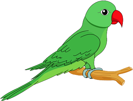 A. Choose the correct option.