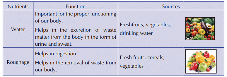 Food, Nutrition, Health and Diseases Class 5 Notes Science