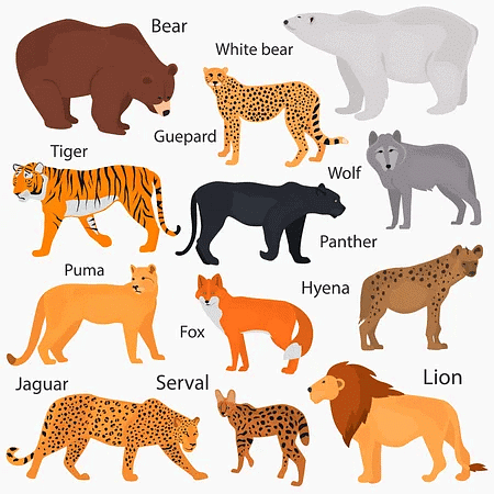 Terrestrial animals