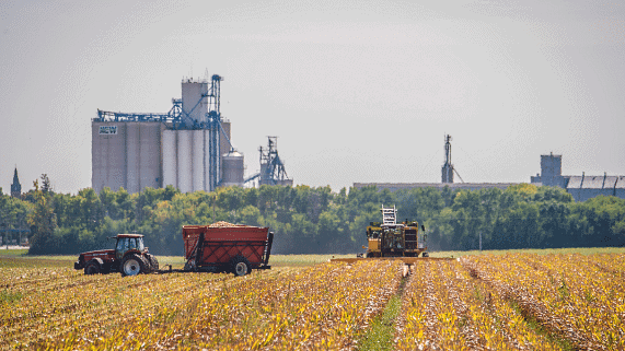 Industry And Agriculture
