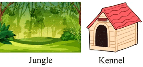 Animals- Food and Shelter Class 1 Notes EVS
