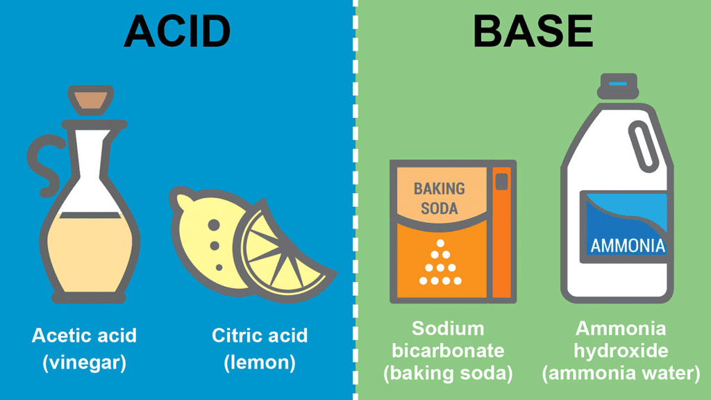 Acids, Bases and Salts Class 7 Notes Science Chapter 2